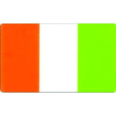 W4 Vehicle Accessories Vehicle Accessories Irish Flag - Medium Rectangle