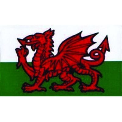 W4 Vehicle Accessories Vehicle Accessories Welsh Dragon - Medium Rectangle